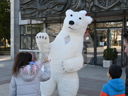 Снимка: Община Видин