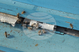 Монтана - топло време