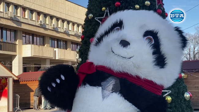 Топлото и слънчево време събра видинчани на площада, където са разположени къщичките от коледния базар