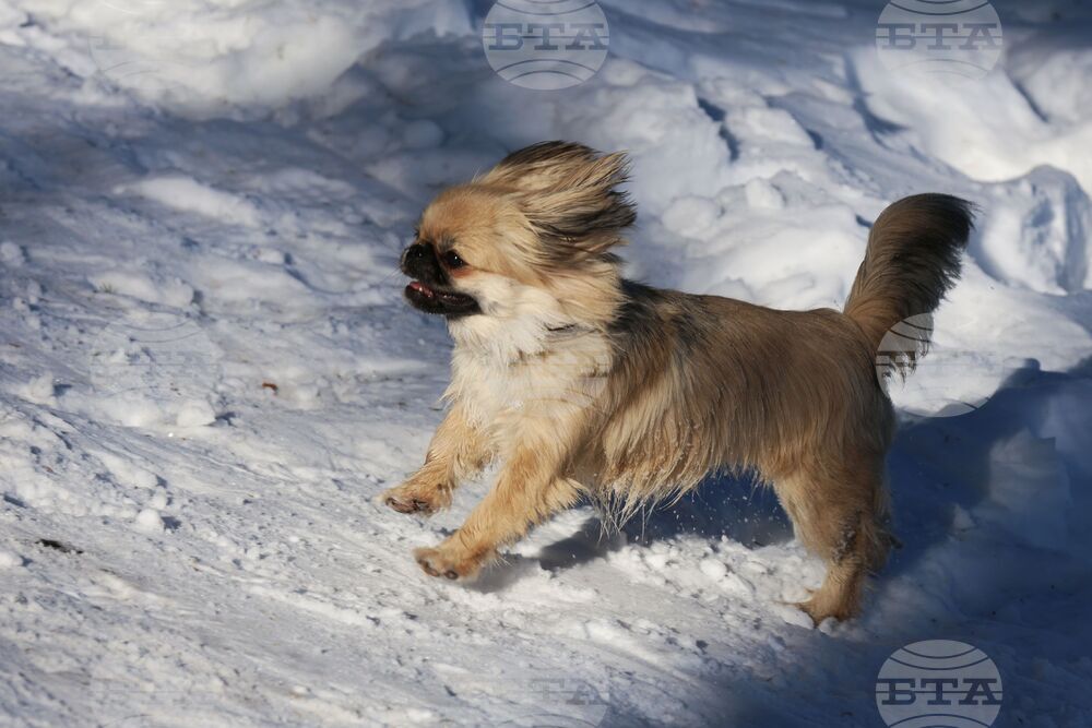 Витоша - зимен сезон - откриване