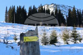 Витоша - зимен сезон - откриване