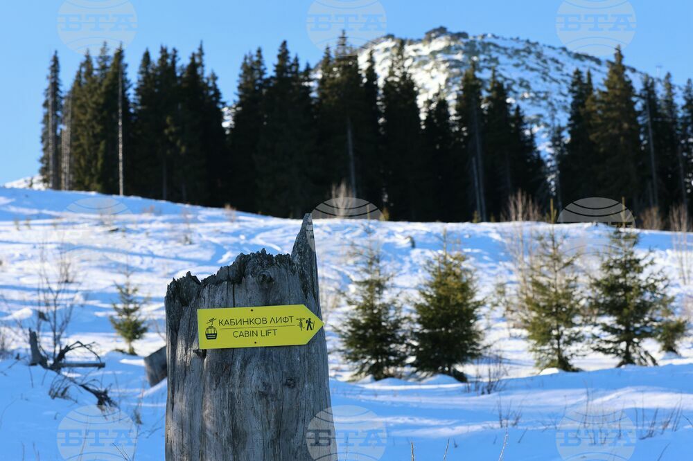 Good Winter Sports Conditions in Mountains on Sunday