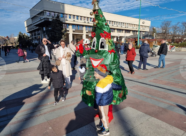 Видин - топло време