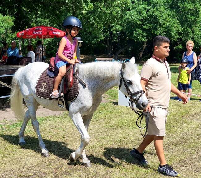 Еньовден в Хасково – Празник на билките и здравето 