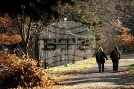 Столица - ежедневие