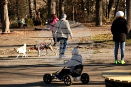 Столица - ежедневие