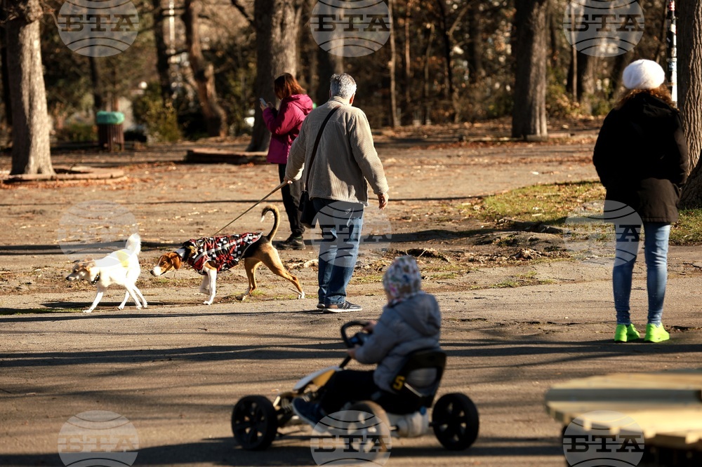 Столица - ежедневие