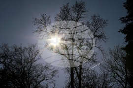 Столица - ежедневие