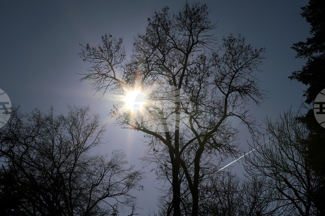 Прогноза за времето