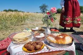 Община Тунджа - жътва - начало