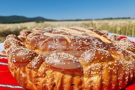 Община Тунджа - жътва - начало