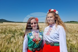 Община Тунджа - жътва - начало