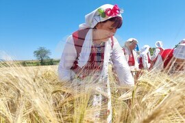 Община Тунджа - жътва - начало