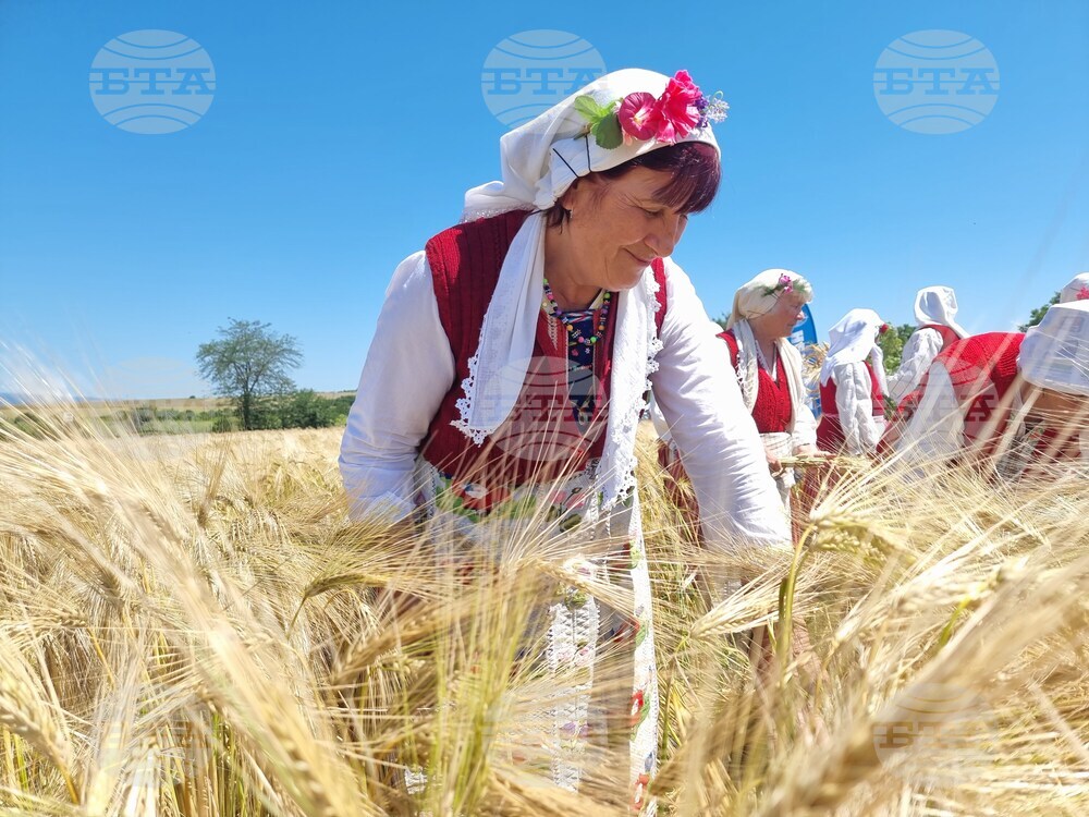 Община Тунджа - жътва - начало
