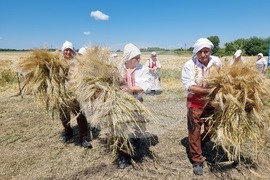 Община Тунджа - жътва - начало