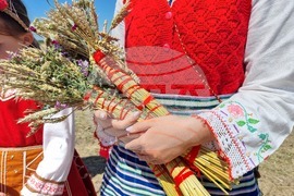 Община Тунджа - жътва - начало