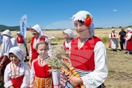 Община Тунджа - жътва - начало