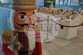 Румъния - град от меденки