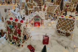 Румъния - град от меденки