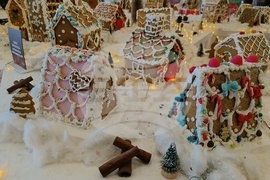 Румъния - град от меденки