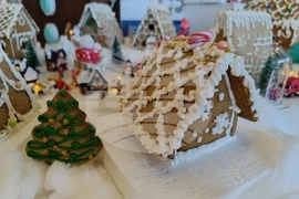 Румъния - град от меденки