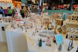 Румъния - град от меденки