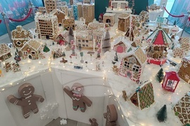 Румъния - град от меденки