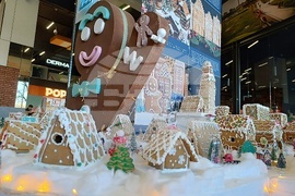 Румъния - град от меденки