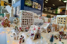 Румъния - град от меденки