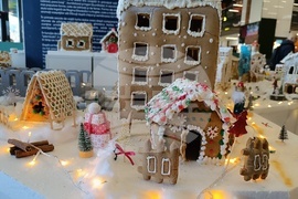 Румъния - град от меденки