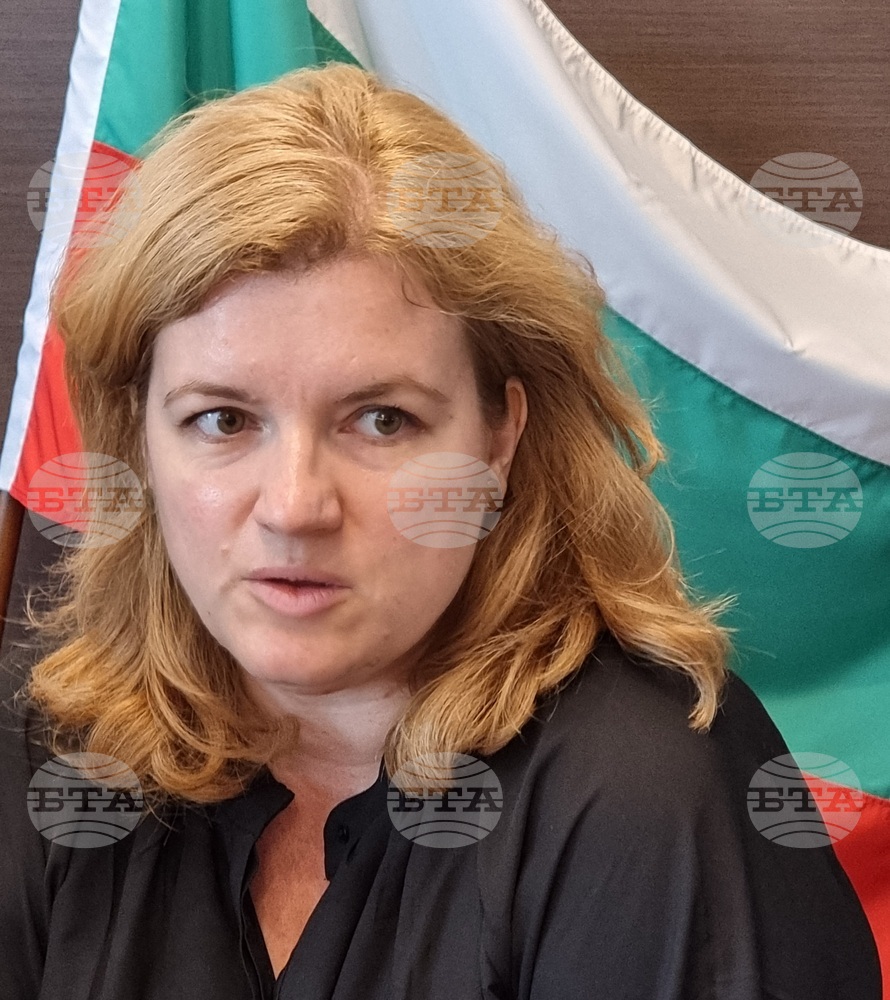 Държавата трябва да има различна данъчна политика спрямо социалните предприятия, според експерт