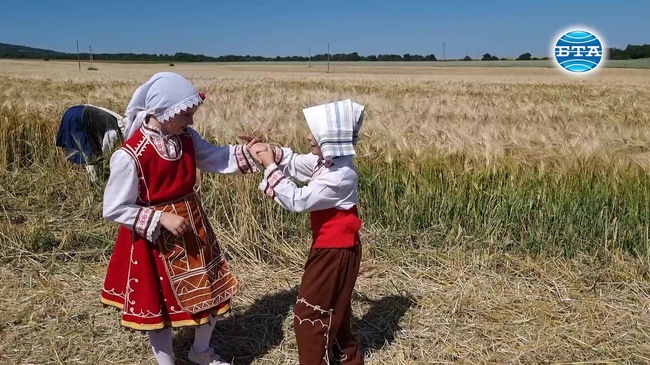 С ритуала „зажънване“ в Тунджанско дадоха символично начало на кампанията по прибиране на ечемика