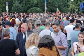 Протест - подкрепа - Никола Минчев