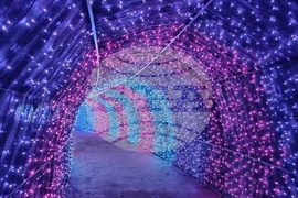 Румъния - Букурещ - Ботаническа градина - приказни декори