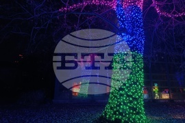 Румъния - Букурещ - Ботаническа градина - приказни декори