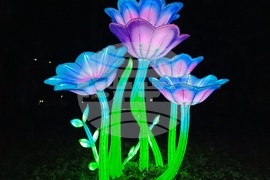 Румъния - Букурещ - Ботаническа градина - приказни декори