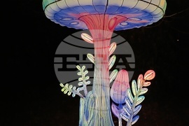 Румъния - Букурещ - Ботаническа градина - приказни декори