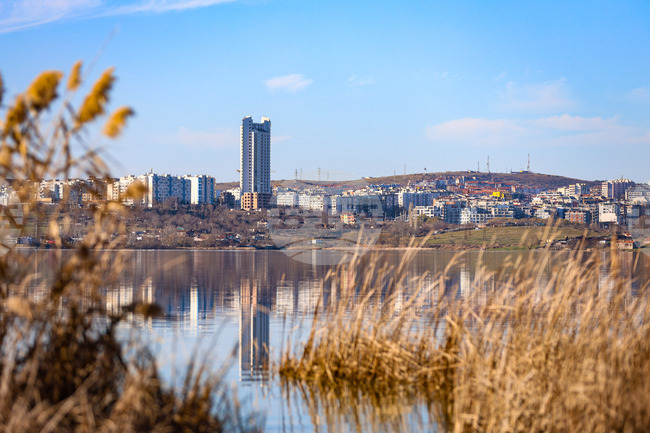Община Бургас обяви обществена поръчка за изпълнение на дейности по залесяване за близо 5 млн. лева