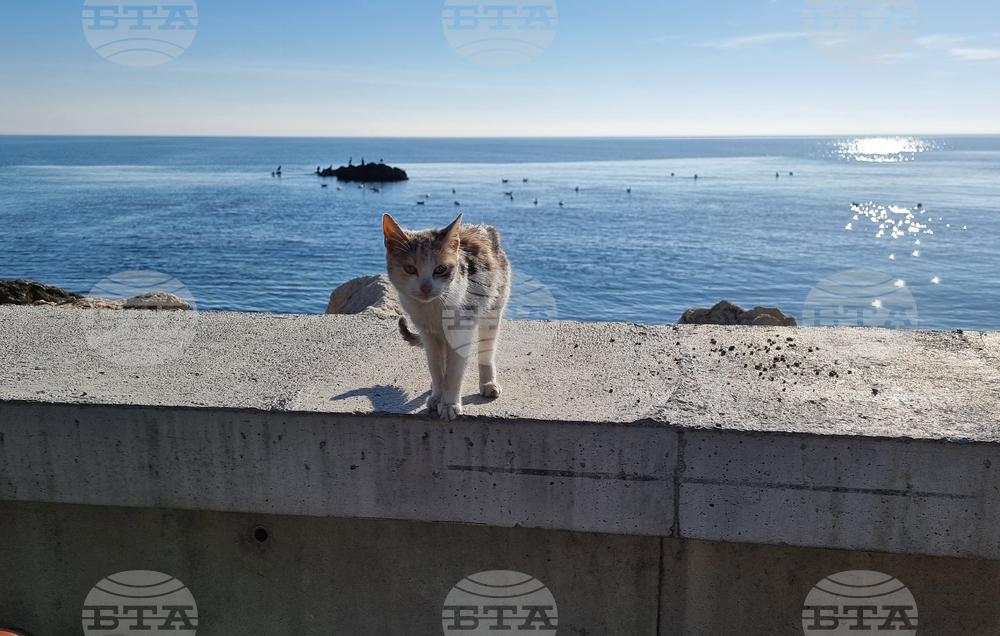 The Weather on May 9