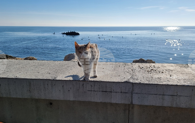 The Weather on May 9