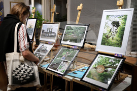 Варна - школа „Дедал“ - изложба