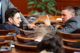 Парламент - заседание