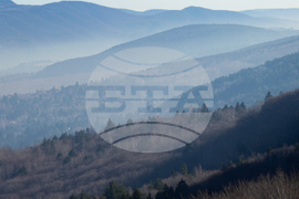 Столица - изглед