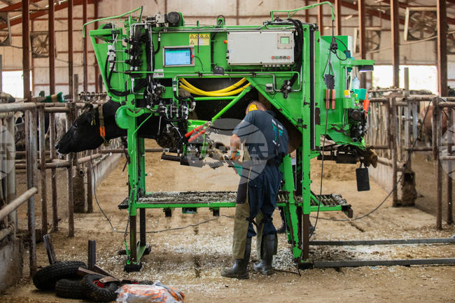 Габровската фирма "КЗМ" ООД търси копитари