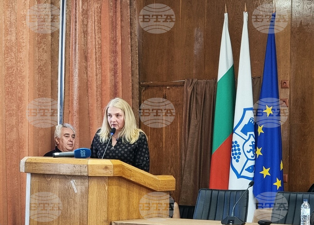 Видин - Общински съвет - извънредно заседание - актуализация на бюджета