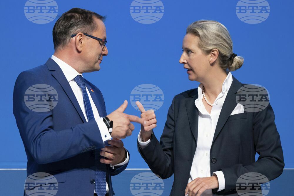 Германската крайна десница ще номинира кандидат за канцлер