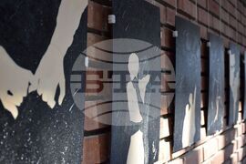 Благоевград - Петя Петкова - изложба