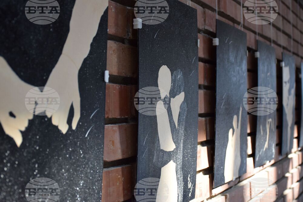 Благоевград - Петя Петкова - изложба