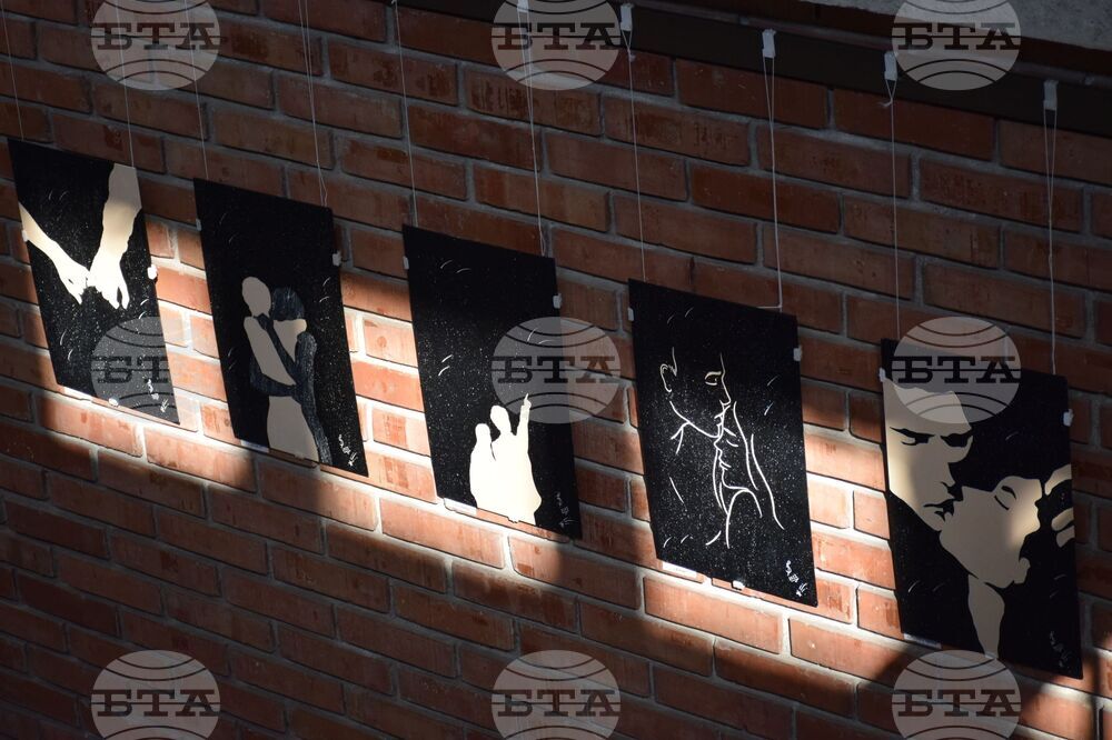 Благоевград - Петя Петкова - изложба