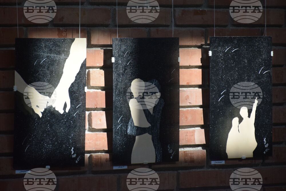 Благоевград - Петя Петкова - изложба